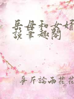 岳母和女婿的小说笔趣阁