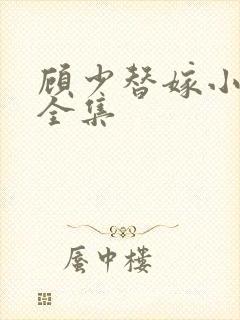 顾少替嫁小娇妻全集