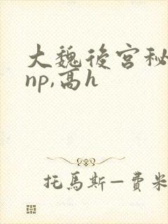 大魏后宫秘史(np,高h