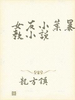 女友小叶暴露调教小说