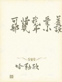 可惜我爱着你的那几年小说免费阅读