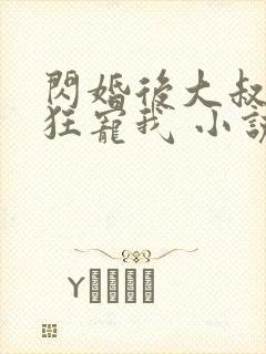 闪婚后大叔每天狂宠我 小说