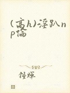 (高h)淫趴np伦