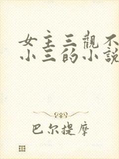 女主三观不正当小三的小说