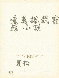 亿万总裁宠妻成瘾 小说