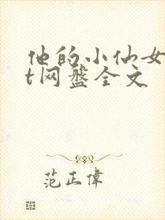 他的小仙女txt网盘全文