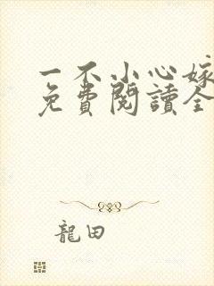 一不小心嫁总裁免费阅读全文