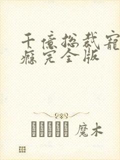 千亿总裁宠妻上瘾完全版