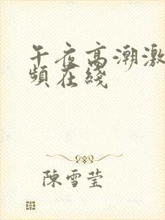 午夜高潮激情视频在线