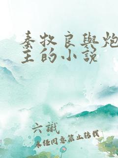 秦牧良与炮灰女主的小说