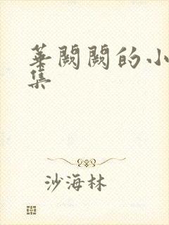 华阙阙的小说合集