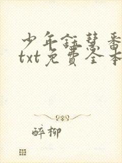 少年钰慧番外篇txt免费全本