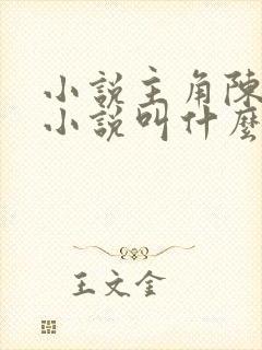 小说主角陈平的小说叫什么