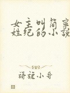女主叫简宁男主姓纪的小说