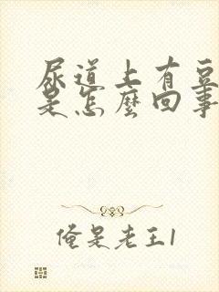 尿道上有豆腐渣是怎么回事