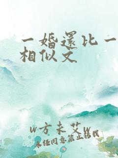 一婚还比一婚高相似文