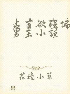 占有欲强偏执双男主小说