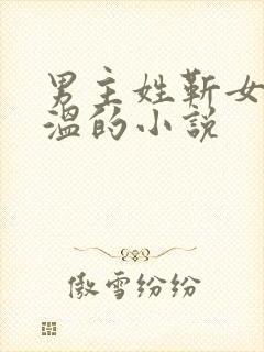 男主姓靳女主姓温的小说