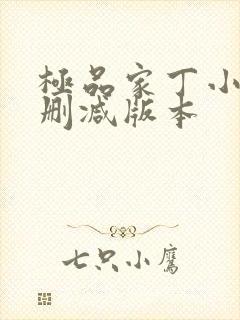 极品家丁小说无删减版本