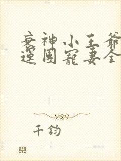 衰神小王爷的福运团宠妻全本txt下载