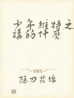 少年维特之烦恼讲的什么