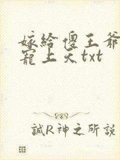 嫁给傻王爷后被宠上天txt