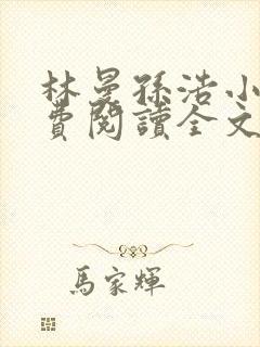 林曼孙浩小说免费阅读全文最新章节