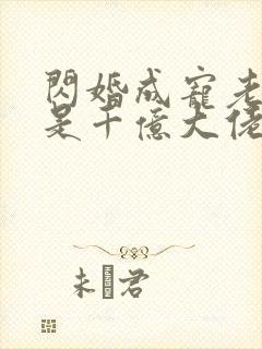 闪婚成宠老公竟是千亿大佬下载