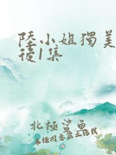 陆小姐独美后最后1集