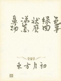 鼻涕状绿色分泌物怎么回事