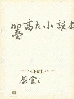 np高h小说总受
