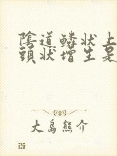 阴道鳞状上皮乳头状增生是什么病