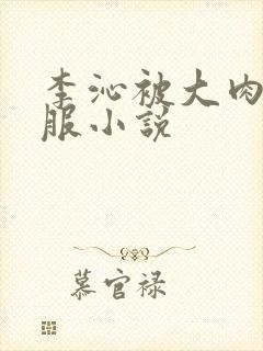 李沁被大肉楱征服小说