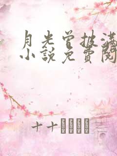 月光曾披满我身小说免费阅读