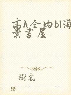 高h全肉bl海棠书屋