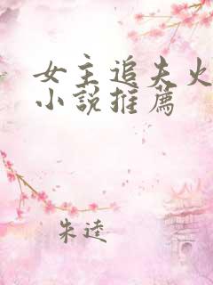 女主追夫火葬场小说推荐