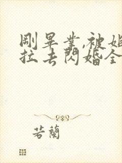 刚毕业,被姐姐拉去闪婚全集