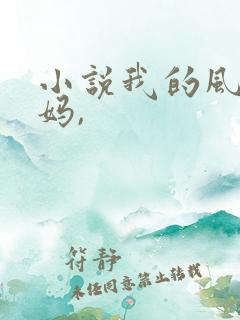 小说我的风流妈妈,