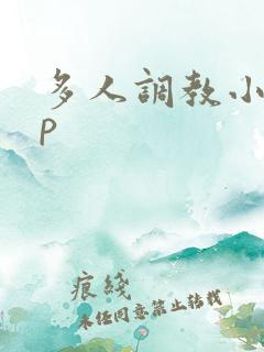 多人调教小说np