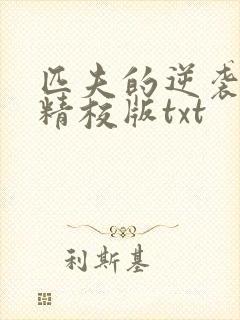 匹夫的逆袭完整精校版txt