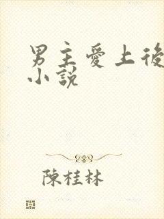 男主爱上后妈的小说