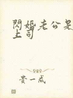 闪婚老公是顶头上司