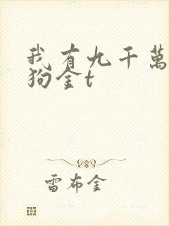 我有九千万亿舔狗金t