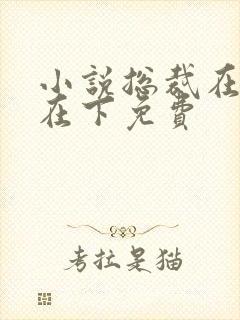 小说总裁在上我在下免费