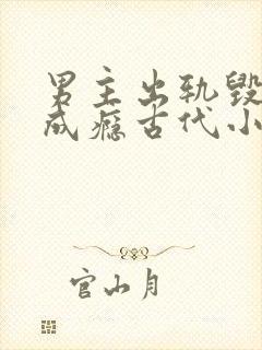 男主出轨毁三观成瘾古代小说