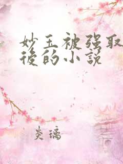 妙玉被强取豪夺后的小说