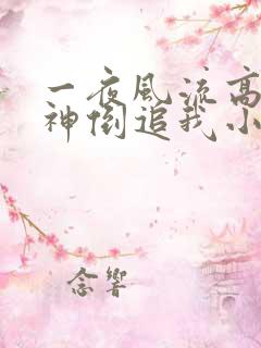 一夜风流高冷女神倒追我小说免费阅读无弹窗