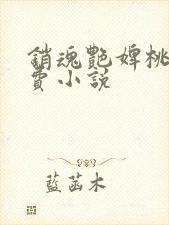 销魂艳婢桃儿免费小说