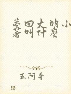 梦回大明小说原著叫什么