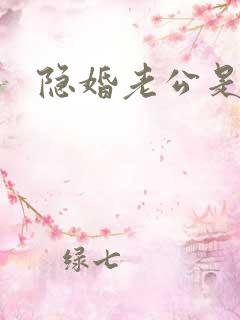 隐婚老公是上司